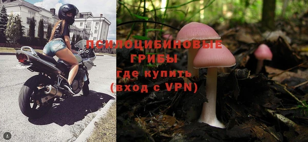 прущие крисы Карпинск