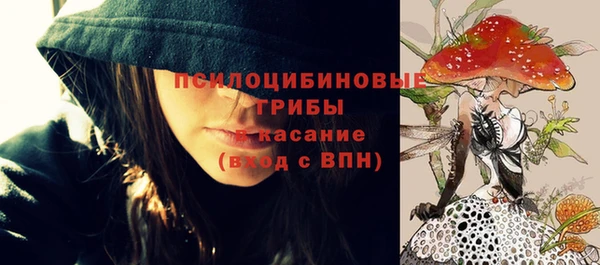 прущие крисы Карпинск